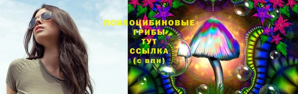 каннабис Алзамай