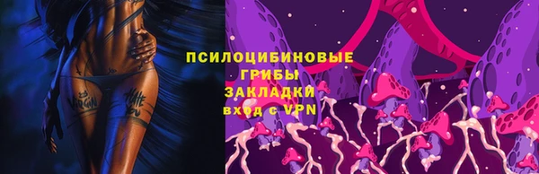 шишки Алексеевка