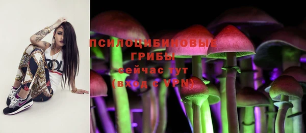 шишки Алексеевка