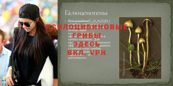 шишки Алексеевка
