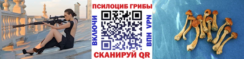 Галлюциногенные грибы Psilocybe  где можно купить   Чистополь 